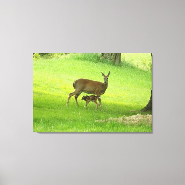 Whitetail Deer (Doe) and Fawn Canvas Print (Front)