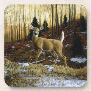 Whitetail Deer Doe in the Forest Coaster
