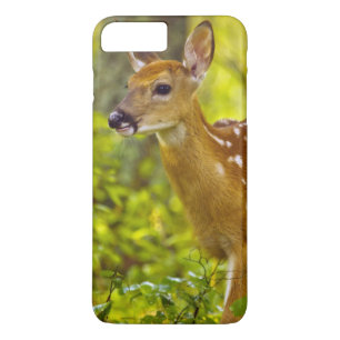 Whitetail deer fawn in Whitefish, Montana, USA iPhone 8 Plus/7 Plus Case