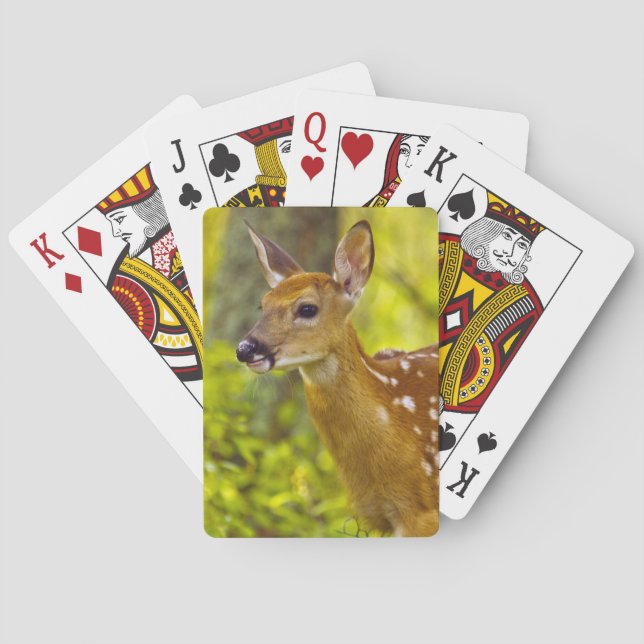 Whitetail deer fawn in Whitefish, Montana, USA Playing Cards (Back)