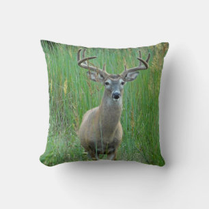 Whitetail Deer Green Field Pillow