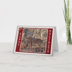 Whitetail Deer Happy Holidays Items Holiday Card