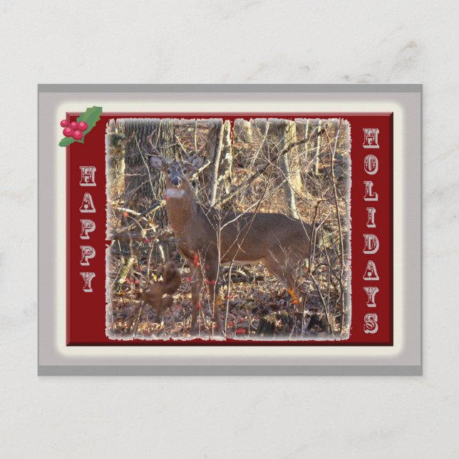 Whitetail Deer Happy Holidays Items Holiday Postcard (Front)