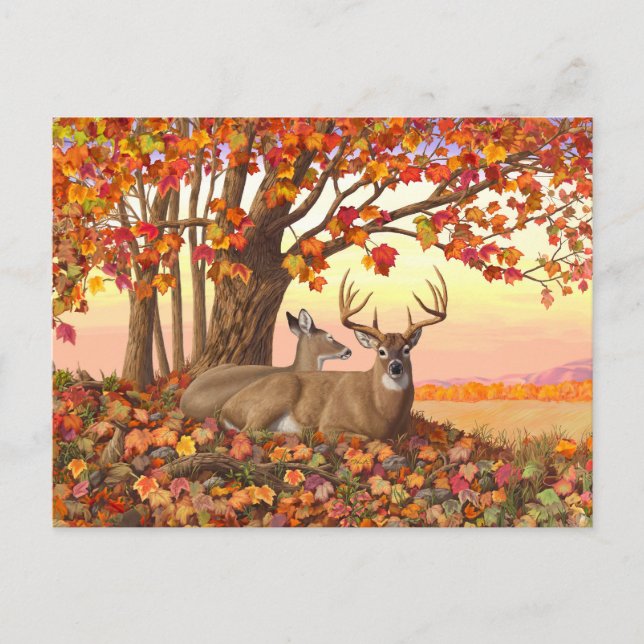Whitetail Deer in Autumn New England Fall Colours Postcard (Front)