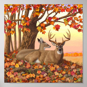 Whitetail Deer in Autumn New England Fall Colours Poster