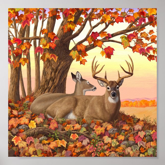 Whitetail Deer in Autumn New England Fall Colours Poster (Front)