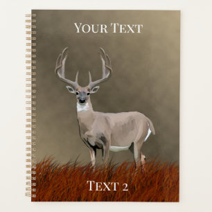 Whitetail Deer in Grasslands Planner