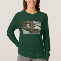 Whitetail Deer In Snow
