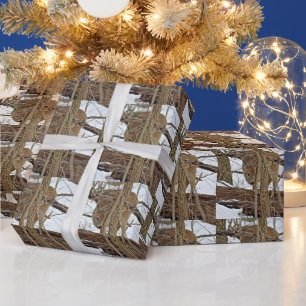 Whitetail Deer In Snow Wrapping Paper