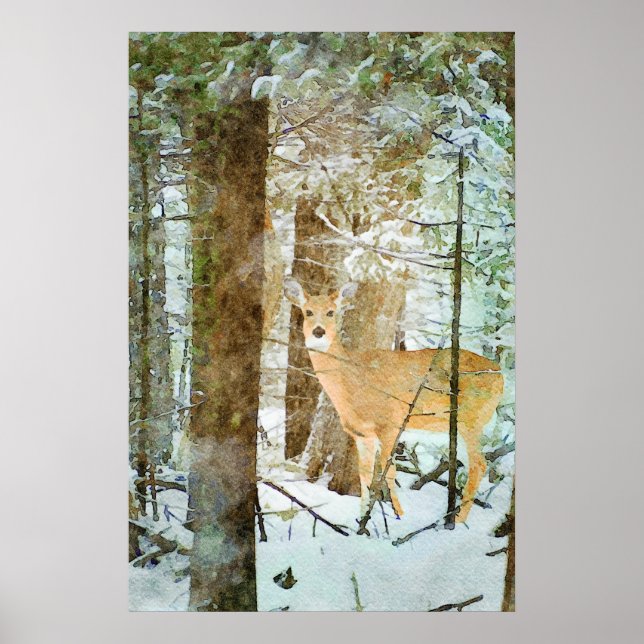 Whitetail Deer in Winter Snow Wildlife Watercolor Poster (Front)