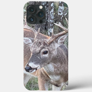 Whitetail Deer Phone Case