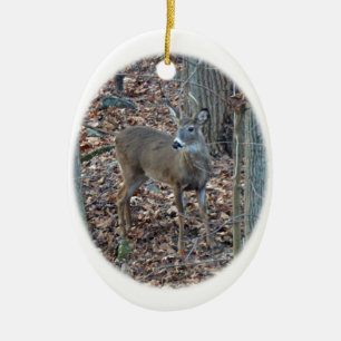Whitetail Deer Spike Buck Christmas Ornament