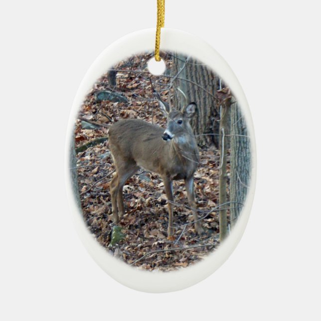Whitetail Deer Spike Buck Christmas Ornament (Front)