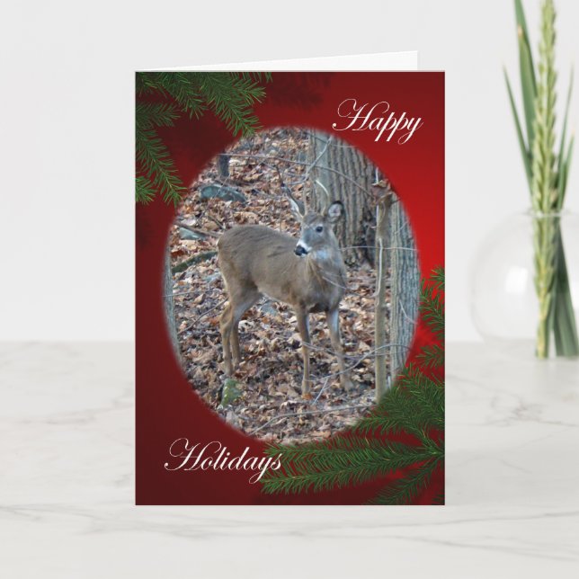 Whitetail Deer Spike Buck Happy Holidays Series Holiday Card (Front)
