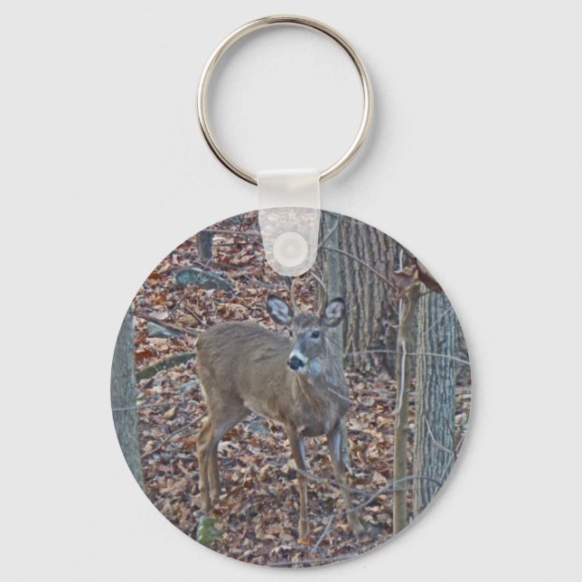 Whitetail Deer Spike Buck Series Key Ring (Front)