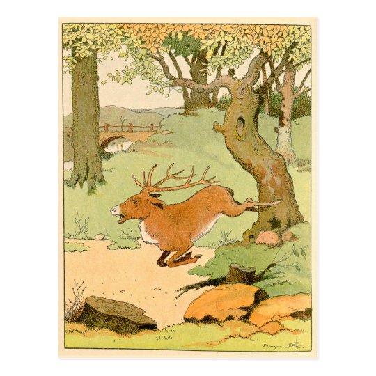 Whitetail Deer Stag Bolting in the Forest Postcard