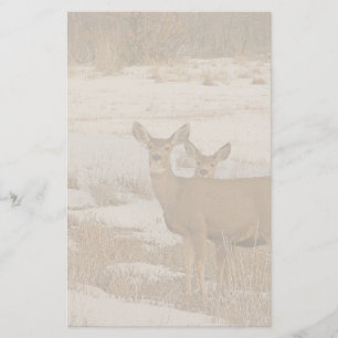 Whitetail Deer Stationery