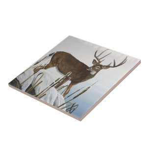 Whitetail deer tile