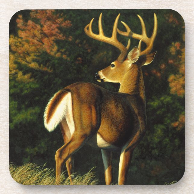 Whitetail Deer Trophy Buck Hunting Coaster (Front)