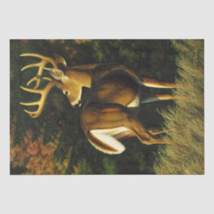 Whitetail Deer Trophy Buck Hunting Tissue Paper