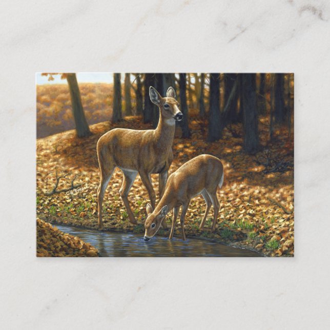Whitetail Doe and Fawn Drinking from a Stream Business Card (Front)