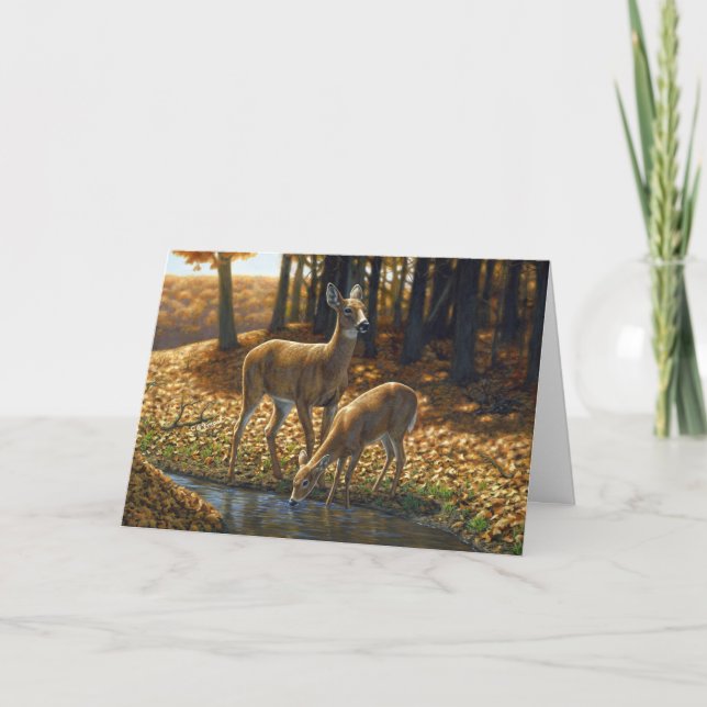 Whitetail Doe and Fawn Drinking from a Stream Card (Front)
