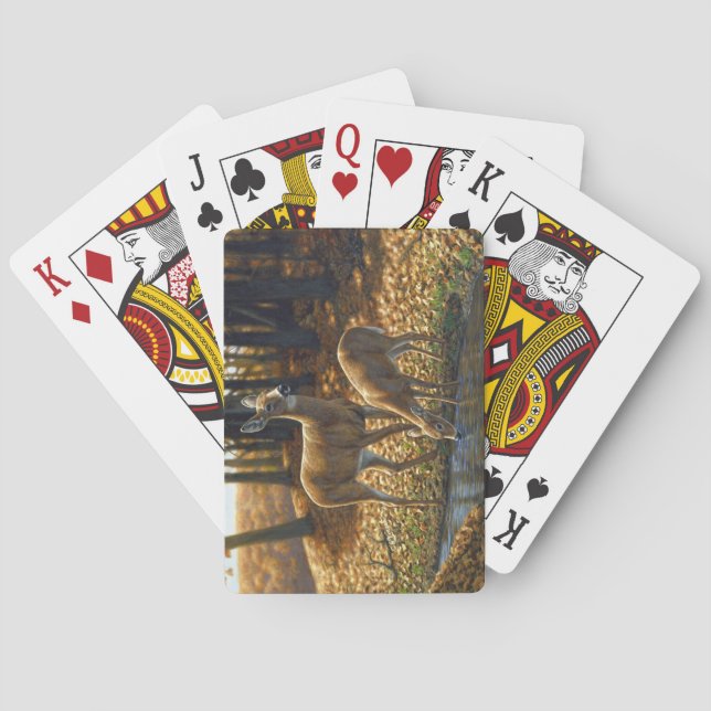 Whitetail Doe and Fawn Drinking from a Stream Playing Cards (Back)