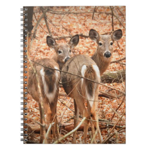 Whitetail Doe and her Fawn in the autumn Woods Notebook