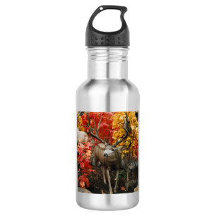 Whitetail In Autumn Aluminium Water Bottle