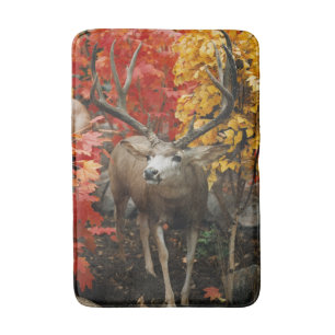 Whitetail In Autumn Bath Mat