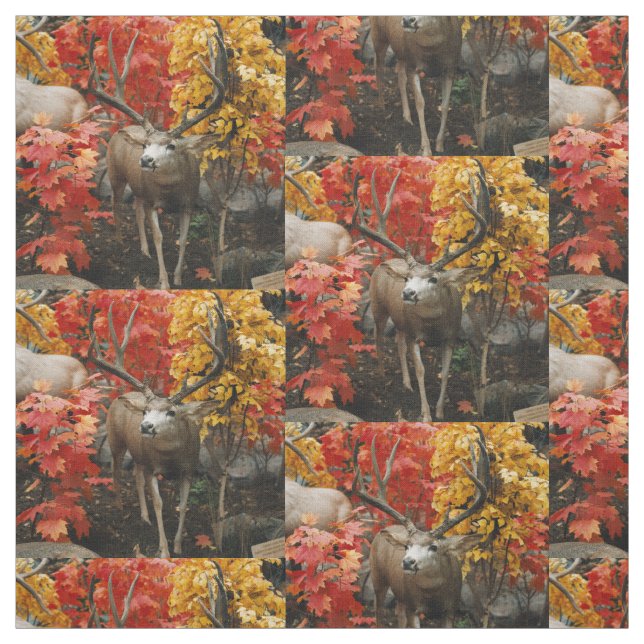 Whitetail In Autumn Fabric (Swatch)