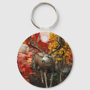 Whitetail In Autumn Key Ring