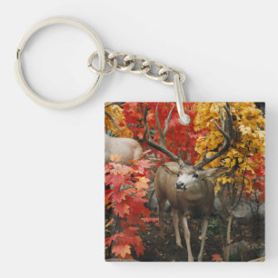 Whitetail In Autumn Key Ring