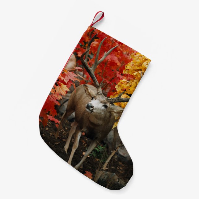 Whitetail In Autumn Small Christmas Stocking (Front (Hanging))