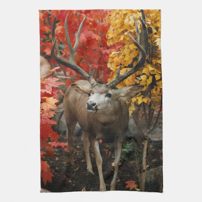 Whitetail In Autumn Tea Towel (Vertical)
