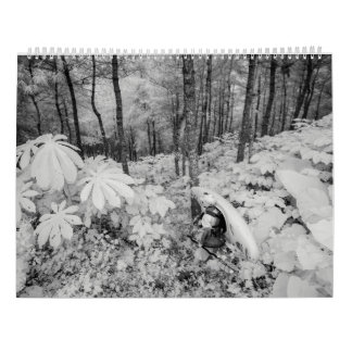 Whitewater 2016 calendar