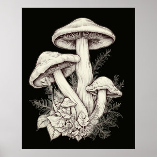 Whitish Pale Mushrooms Black Background On a Wall Poster