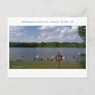 Whitlingham Country Park,  Norwich,  Norfolk,  UK Postcard