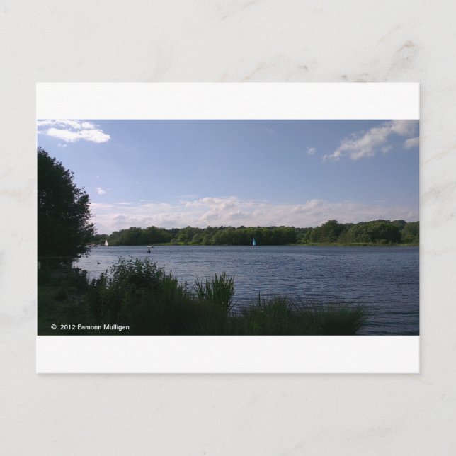 Whitlingham Country Park, Norwich, UK Postcard (Front)