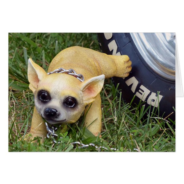 Whiz Kid (Front Horizontal)