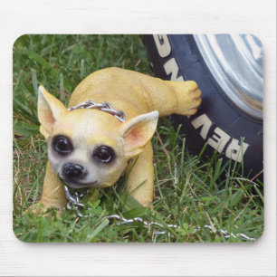 Whiz Kid Mouse Mat