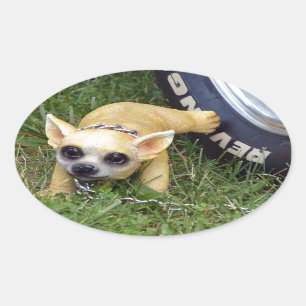 Whiz Kid Oval Sticker