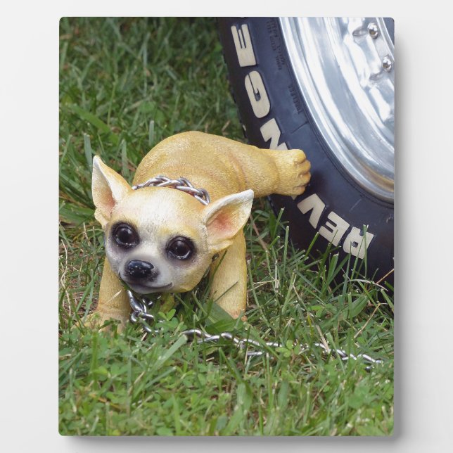 Whiz Kid Plaque (Front)