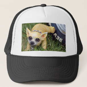 Whiz Kid Trucker Hat