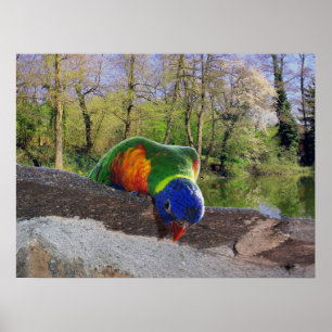 Who are you? Cute Lori Poster