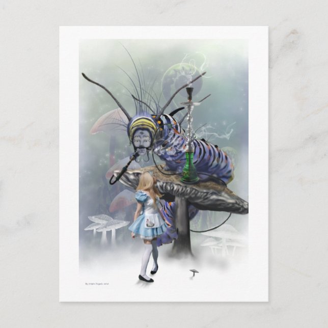 Who are you Post Cards (Front)