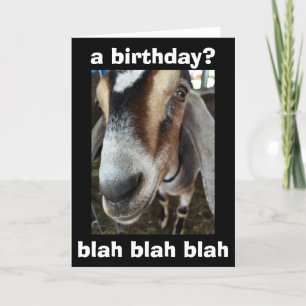 "WHO" CARES "I CARE" THE GOAT SAYS HAPPY BIRTHDAY CARD