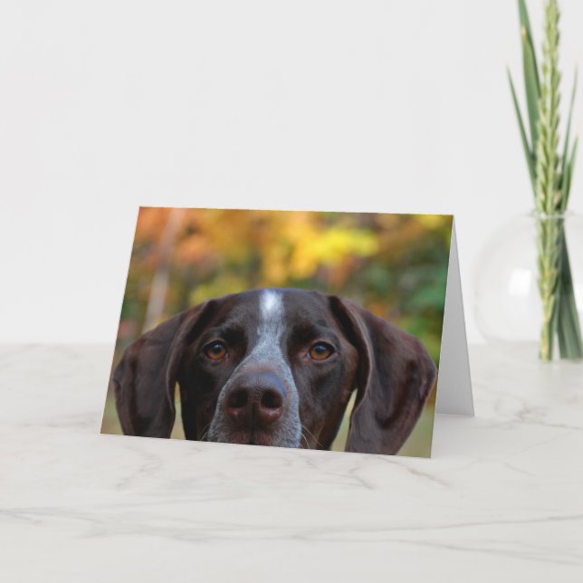 Who Dat Dog? Card (Front)