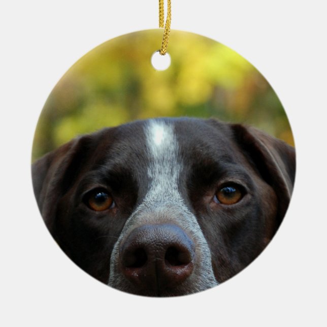 Who Dat Dog Ceramic Tree Decoration (Front)