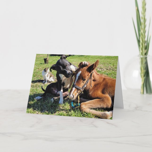 WHO DO I WNAT TO SEE FOR "CHRISTMAS"  HOLIDAY CARD (Front)